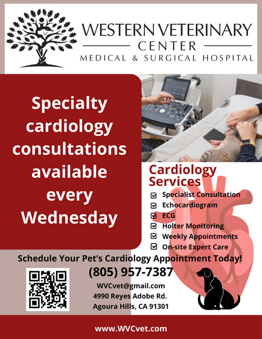 Cardiology consultations every wednesday