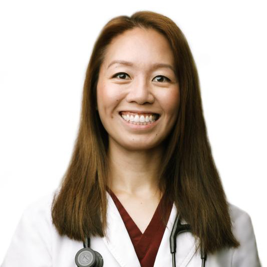 Barbara Ferber, DACVECC, Criticalist, Emergency Medicine Barbara Ferber, DACVECC, Criticalist, Emergency Medicine