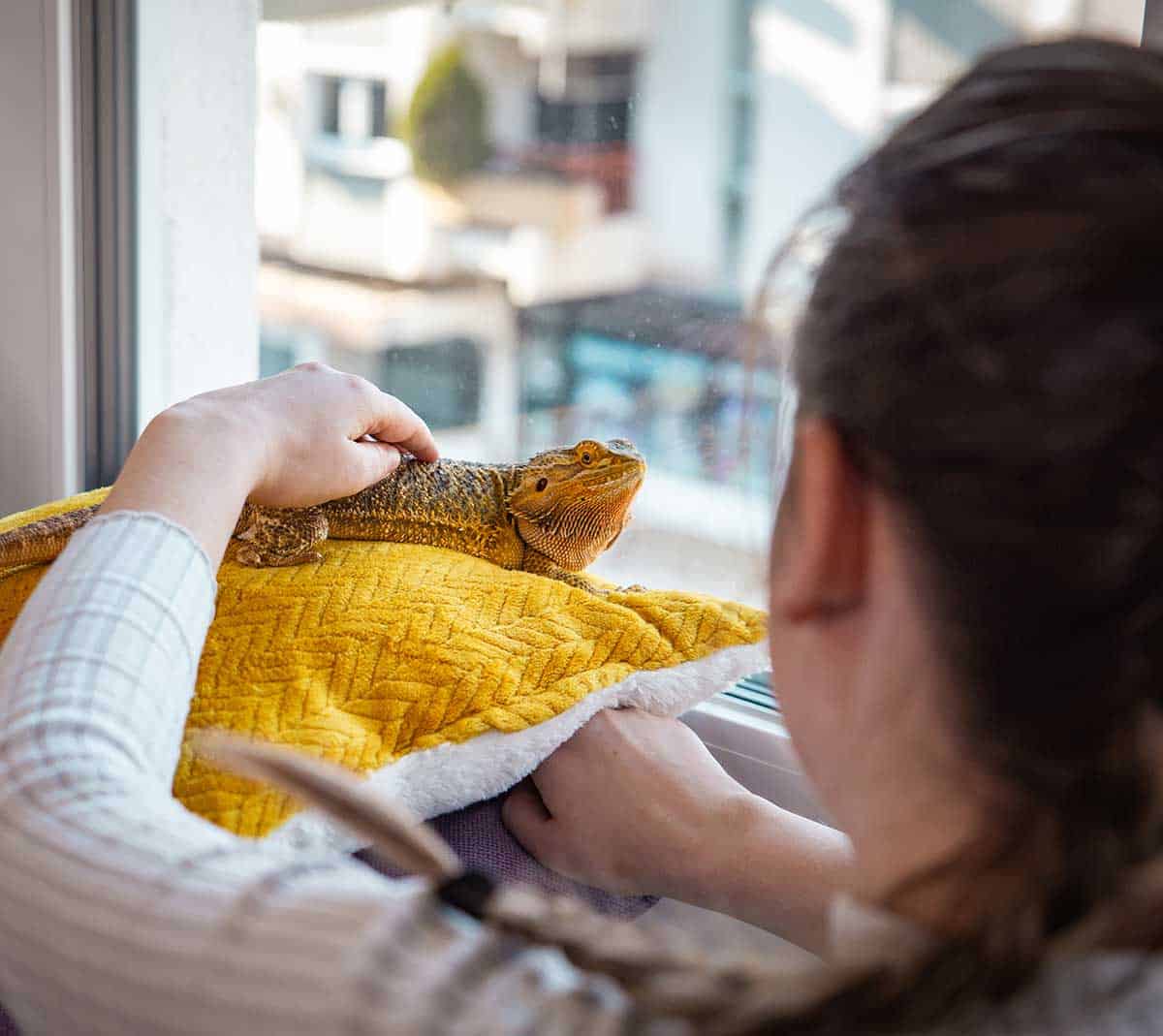 A woman with her reptile friend