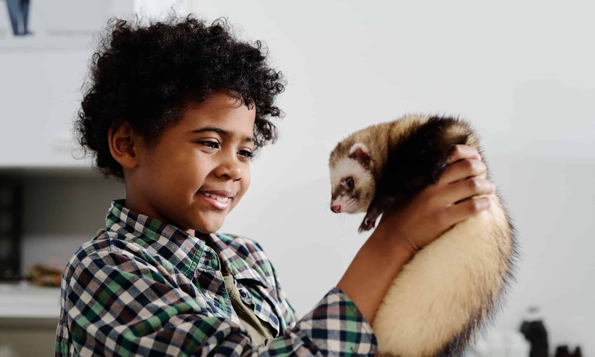 Child with a ferret